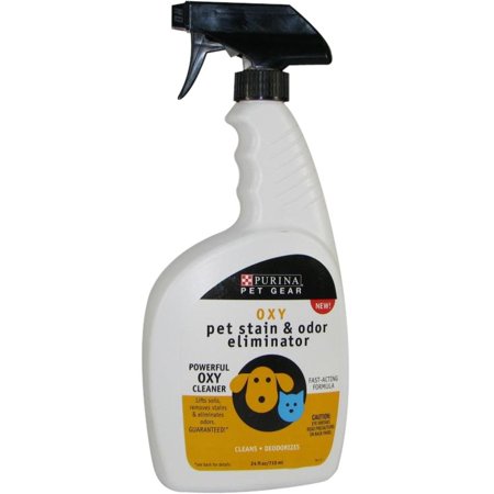 13 Simple Tips To Make Your Home Smell Amazing 1820323495