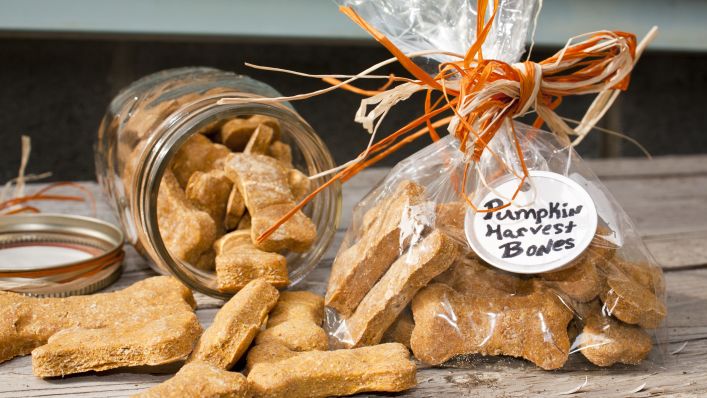 6 DIY Pumpkin Dog Treats 358468420